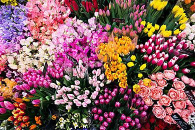 《最终幻想：像素重制版》系列7月29日推出